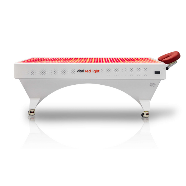 Vital Bed