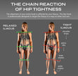 Full Body System