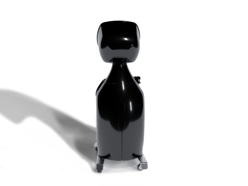 VACUACTIVUS Iceberg 25L Local CRYO