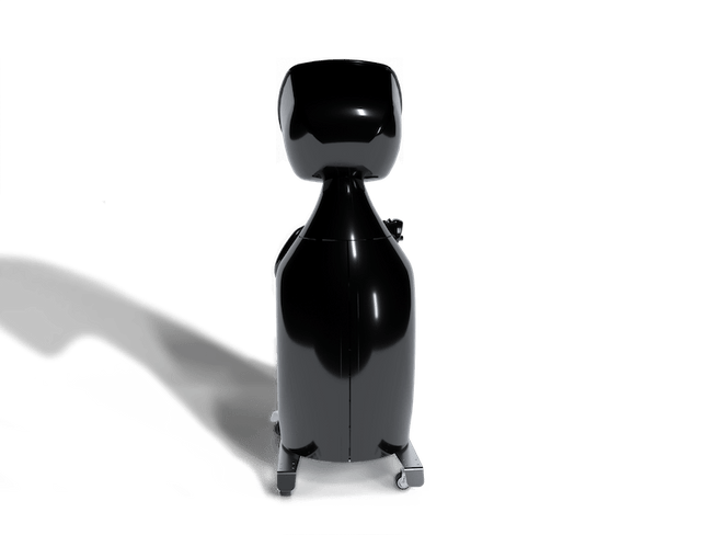 VACUACTIVUS Iceberg 25L Local CRYO