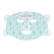 LED Light Therapy Crown Face Mask