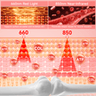LUMYHEALTH Dual-Pulse Red Light Therapy Mat for Pain Relief